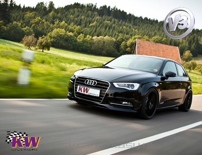 Schroefset KW V3 inox VW Bus / Transporter T5 (7H..) 2.5 TDI 01/