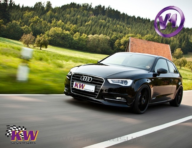 Schroefset KW V1 inox Saab 9-mrt YS3F 2.0t AERO 09/2002-